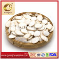 Best Quality New Crop Small Size Pumpkin Seeds